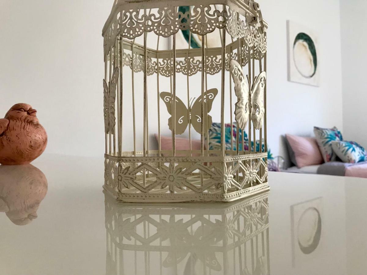 Casa Cactus Διαμέρισμα Pájara Εξωτερικό φωτογραφία